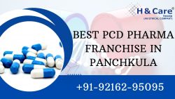 list of top 10 pcd pharma companies in India