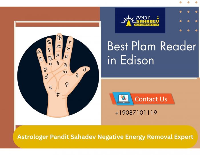 Best Palm Reader in Edison | Astrologer Pandit Sahadev