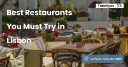 Best Restaurants You Must Try in Lisbon