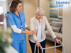 Trusted Elderly Companion Care in Enfield
