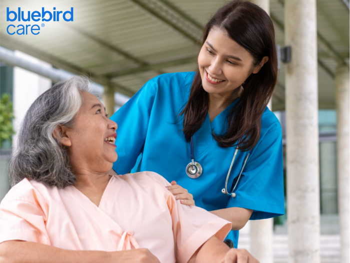 Reliable Elderly Care Providers in Barnet Bluebird Care Barnet
