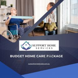 Budget Home Care Package