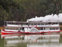 Experience Timeless River Heritage with Paddle Steamer Melbourne