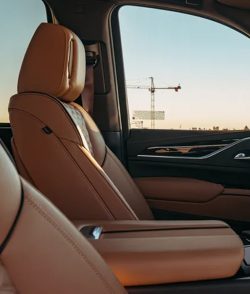 Professional Chauffeurs & High-End Vehicles