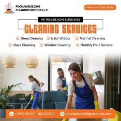Local Professional Maid Service Dubai Jumeirah You Can Trust