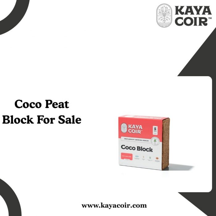 Coco Peat Block For Sale