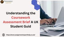 Coursework Assessment Brief Explained for UK Academic Success