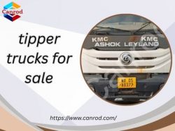Tipper Trucks for Sale – Reliable Options by Canrod