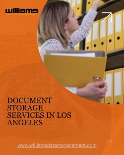 Document Storage Services in Los Angeles
