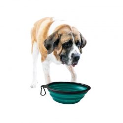 Everyday Hydration Made Easy with a Large Water Bowl for Dogs from HugeHounds