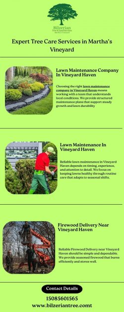 Expert Tree Care Services in Martha’s Vineyard