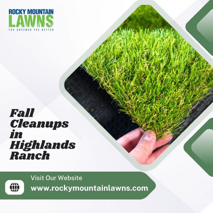Fall Cleanups in Highlands Ranch