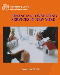 Financial Consulting Services in New York