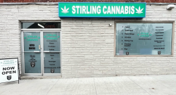 Cannabis Store Stirling At Paradise Cannabis