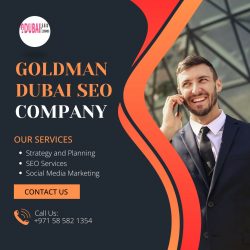 Goldman Dubai SEO Company for Higher Rankings and More Traffic