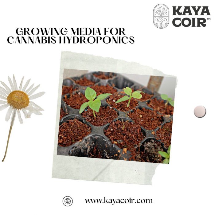 Growing Media For Cannabis Hydroponics