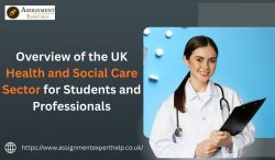 Overview of the UK Health and Social Care Sector for Students and Professionals