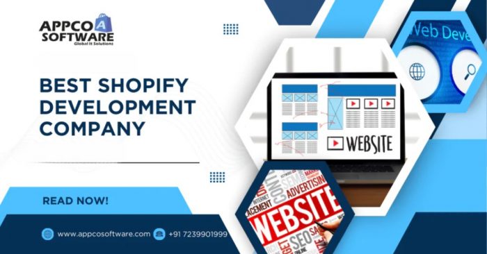 Shopify Website Development Company in Jaipur | Top Shopify Experts