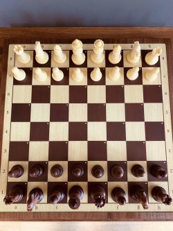 Smart Gaming Experience with Chessnut Air Chess Eboard