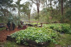 Railway Sleepers Garden & Raised Garden Beds