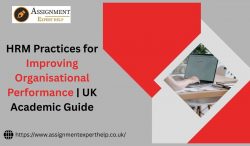 HRM Practices for Improving Organisational Performance in the UK