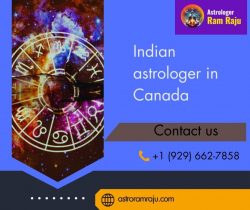 Trusted Indian Astrologer in Canada for Accurate Life Guidance