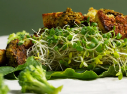 Srishthi Microgreens: A Fresh Way to Experience Nutrition, Flavor, and Wellness