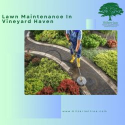 Lawn Maintenance In Vineyard Haven