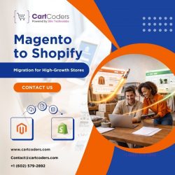 Detailed Guide to Moving Large Magento Inventory to Shopify