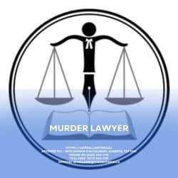 Murder Lawyer – Appeal lawyer