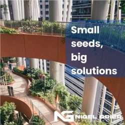 Nigel Grier – Small Seeds, Big Solutions | Sustainability Consultant Singapore