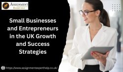 Role of Entrepreneurs in the Growth of Small Businesses in the UK
