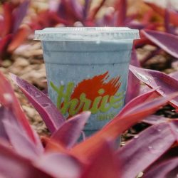 Thrive Juices: Daily Wellness Served at a Popular Downtown Juice Bar