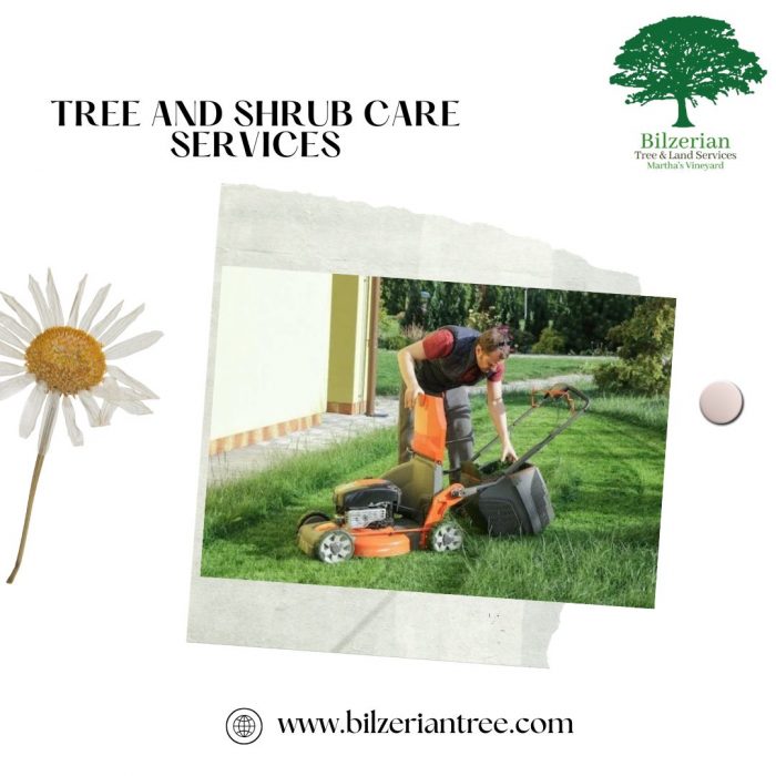 Tree And Shrub Care Services