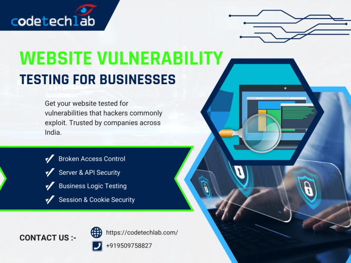 Web Application Penetration Testing Services for Indian Businesses