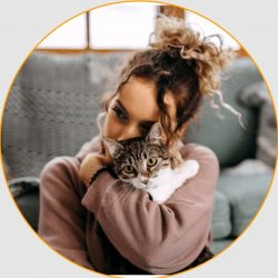Trusted Best Cat Transport Service | Pet Taxi Abroad