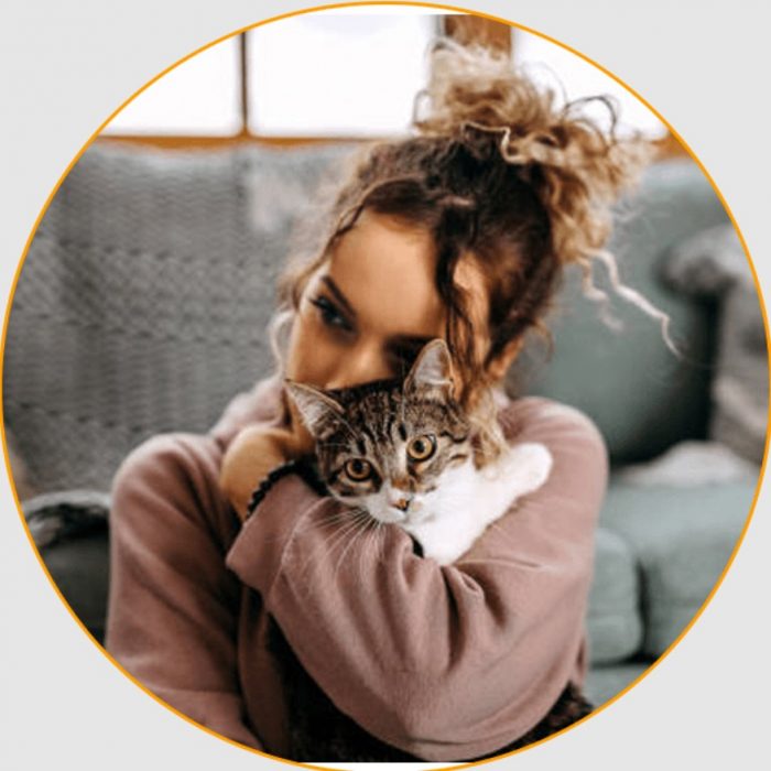 Trusted Best Cat Transport Service | Pet Taxi Abroad