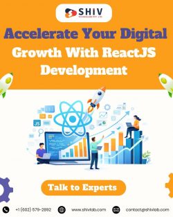 Shiv Technolabs | Reliable ReactJS Development Company