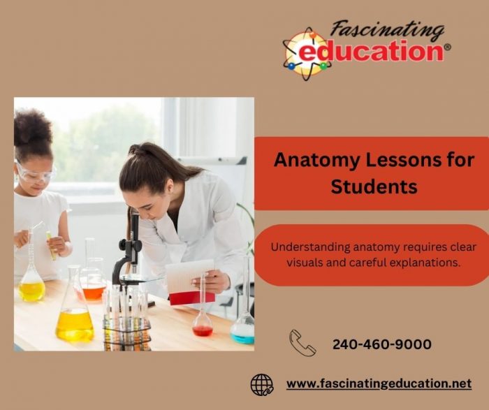 Anatomy Lessons for Students