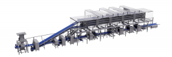 Automatic Pizza Forming Line