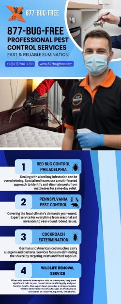 Bed Bug Control Philadelphia Same Day Treatment