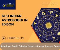Best Indian Astrologer in Edison | Astrologer Pandit Sahadev