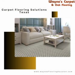Carpet Flooring Solutions Texas