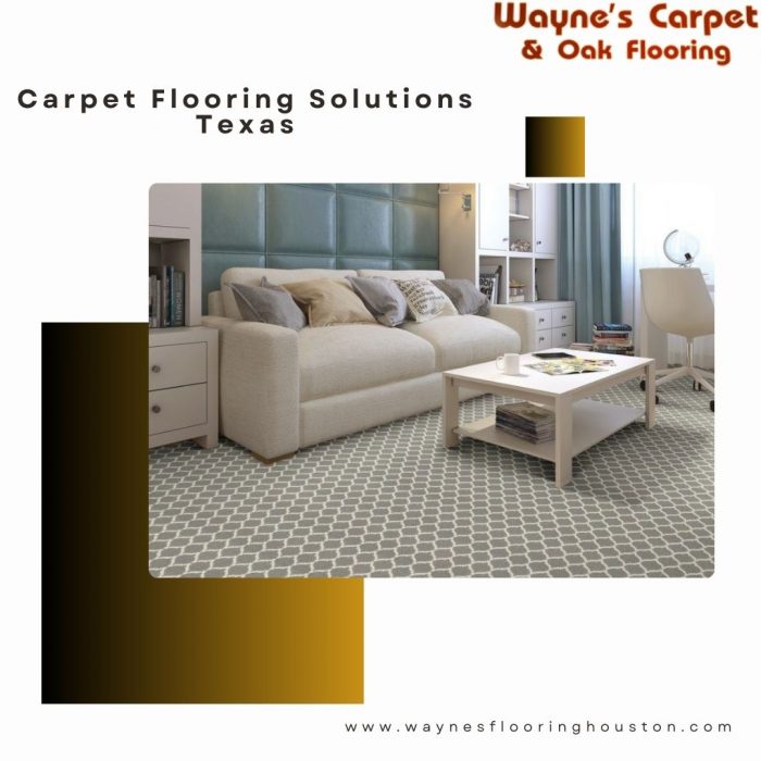 Carpet Flooring Solutions Texas