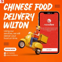 Noodlee Chinese Delivery in Wilton Cork