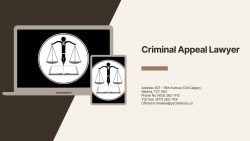 Criminal Appeal Lawyer- Appeal lawyer