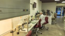 Embryologist Certification & Training By World Embryology Skills and Training