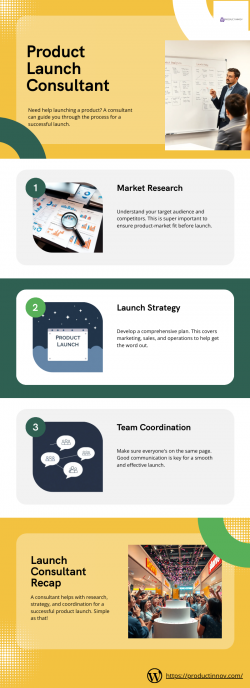Expert Product Launch Consultant Services by Product Innov