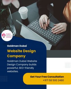 Professional Web Solutions with Goldman Dubai Website Design Company