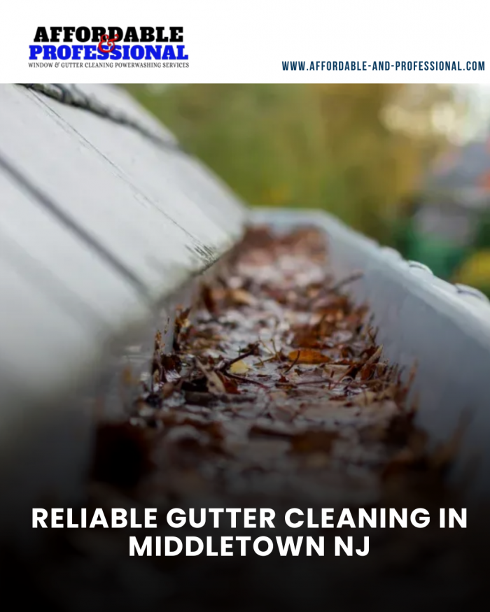 Complete Gutter Cleaning Services for a Safer, Well-Maintained Home